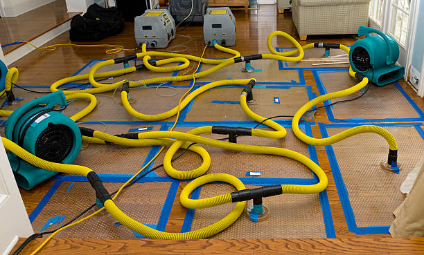 Professional Water Damage Repair technician working in Fremont, NC